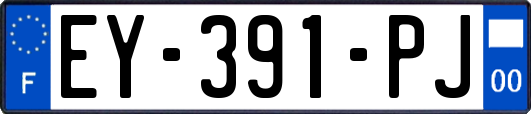 EY-391-PJ