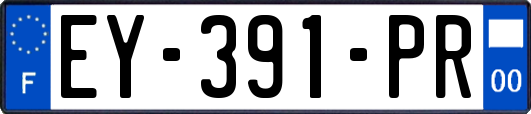 EY-391-PR
