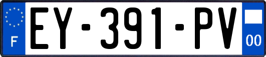 EY-391-PV
