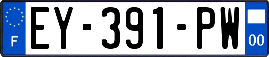EY-391-PW