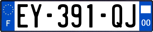 EY-391-QJ