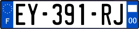 EY-391-RJ