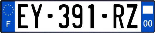 EY-391-RZ