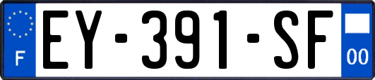 EY-391-SF