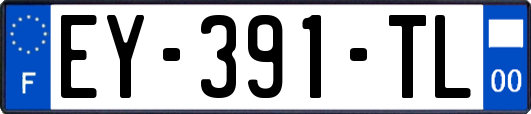 EY-391-TL