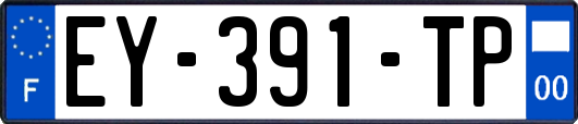 EY-391-TP