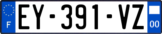 EY-391-VZ