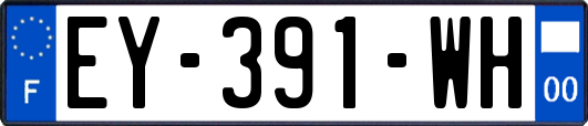 EY-391-WH