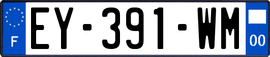 EY-391-WM