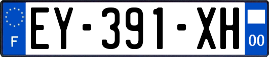 EY-391-XH