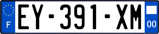 EY-391-XM