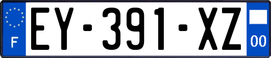 EY-391-XZ
