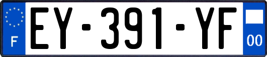 EY-391-YF