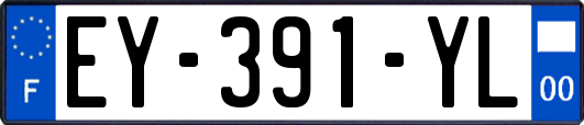 EY-391-YL