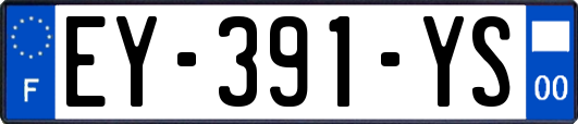 EY-391-YS