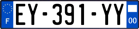 EY-391-YY