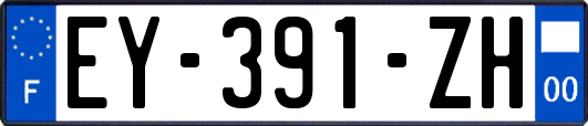 EY-391-ZH