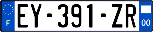 EY-391-ZR