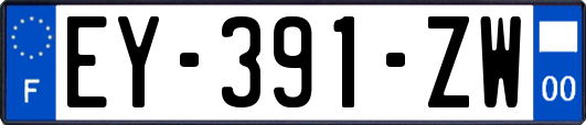 EY-391-ZW