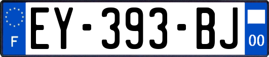 EY-393-BJ