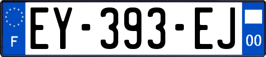 EY-393-EJ