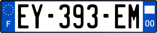EY-393-EM