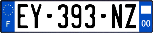 EY-393-NZ