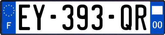 EY-393-QR
