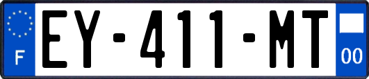 EY-411-MT