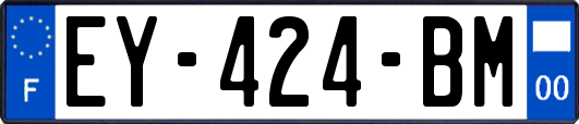 EY-424-BM