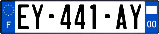 EY-441-AY