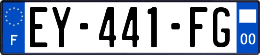 EY-441-FG