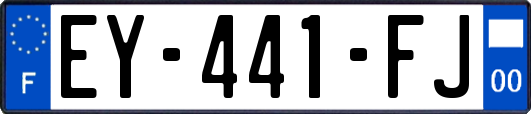 EY-441-FJ