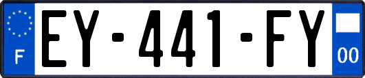 EY-441-FY