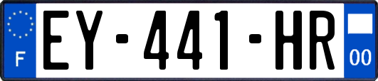 EY-441-HR
