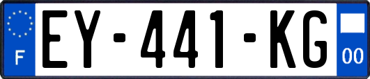 EY-441-KG