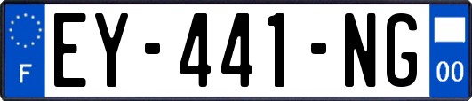 EY-441-NG