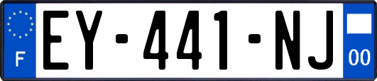 EY-441-NJ