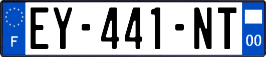 EY-441-NT
