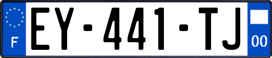 EY-441-TJ