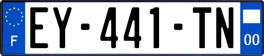 EY-441-TN