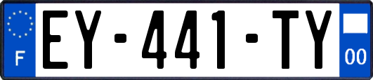 EY-441-TY