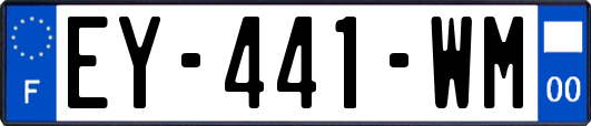 EY-441-WM