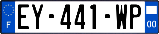EY-441-WP