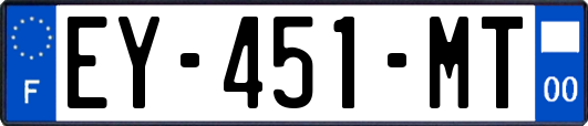 EY-451-MT