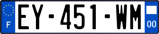 EY-451-WM