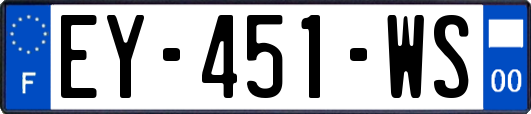 EY-451-WS