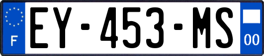 EY-453-MS