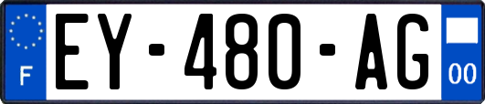 EY-480-AG