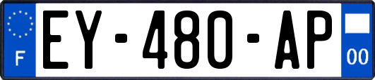 EY-480-AP